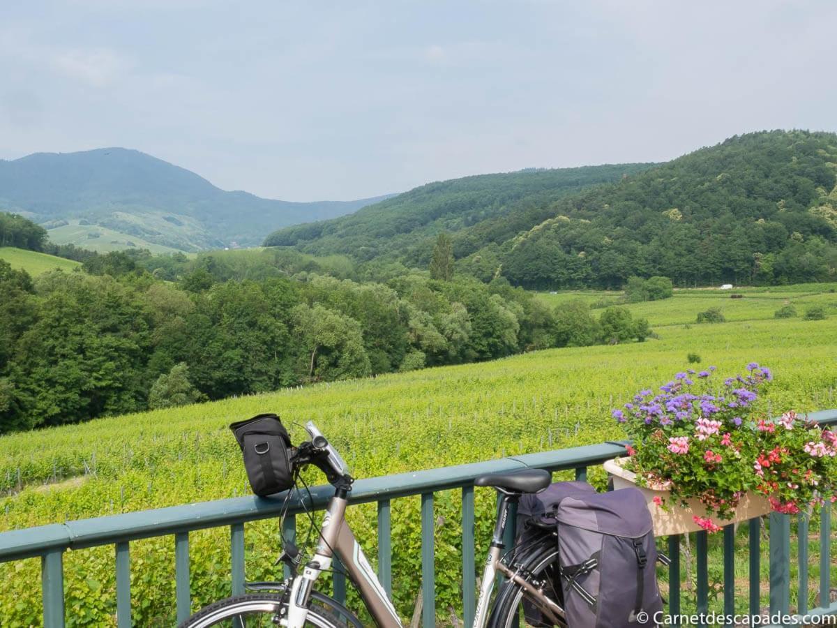 Coeur D'Alsace Colmar Vignobles Ouest Avec Terrasses Villa Wintzenheim Eksteriør billede