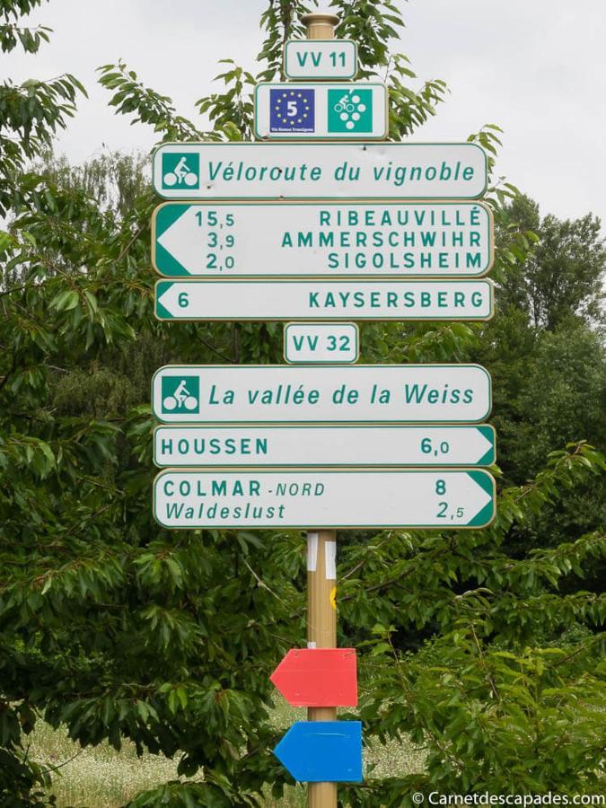 Coeur D'Alsace Colmar Vignobles Ouest Avec Terrasses Villa Wintzenheim Eksteriør billede