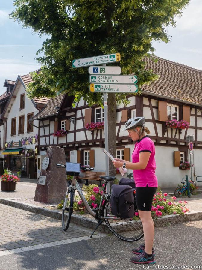 Coeur D'Alsace Colmar Vignobles Ouest Avec Terrasses Villa Wintzenheim Eksteriør billede