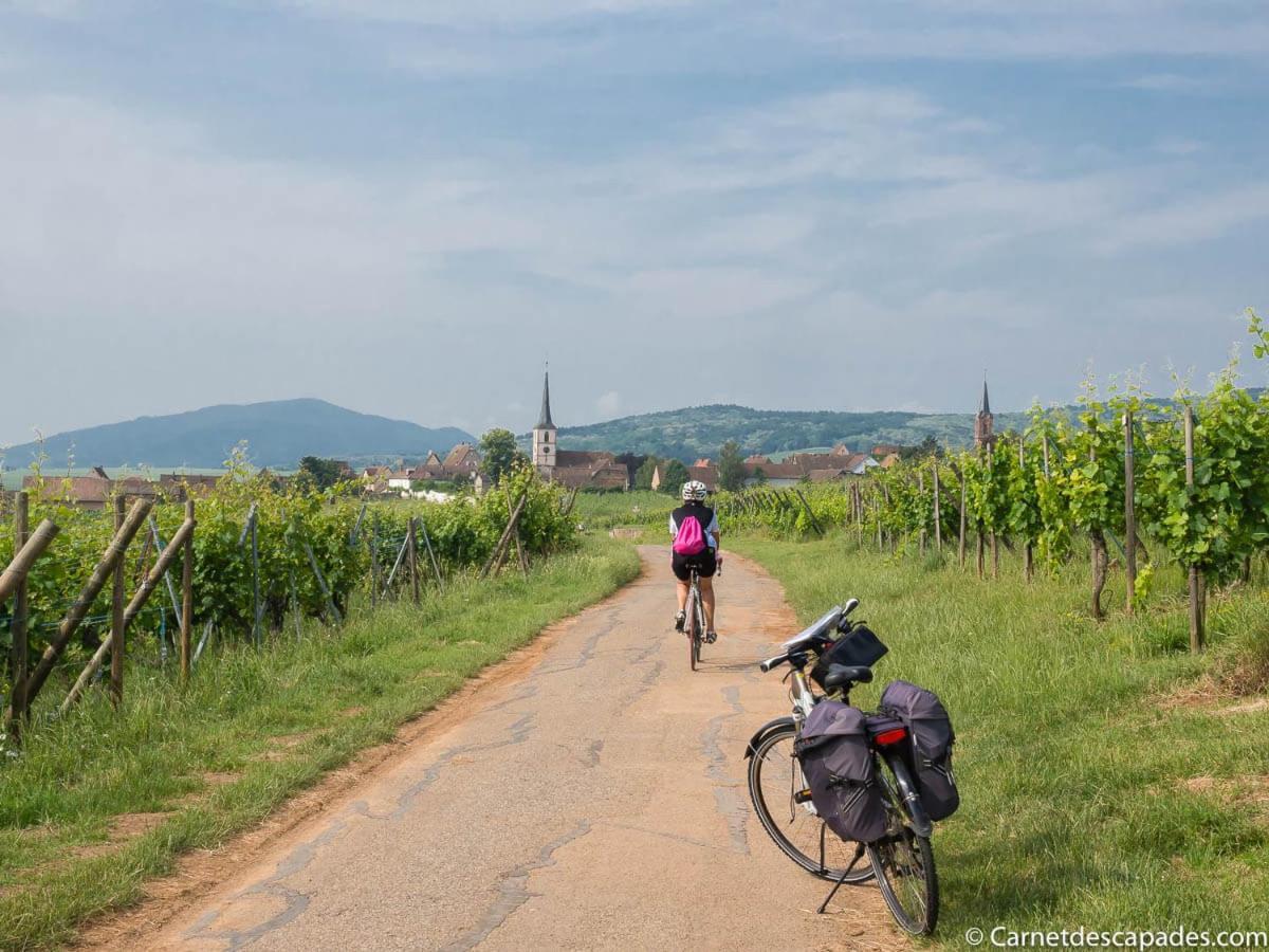 Coeur D'Alsace Colmar Vignobles Ouest Avec Terrasses Villa Wintzenheim Eksteriør billede