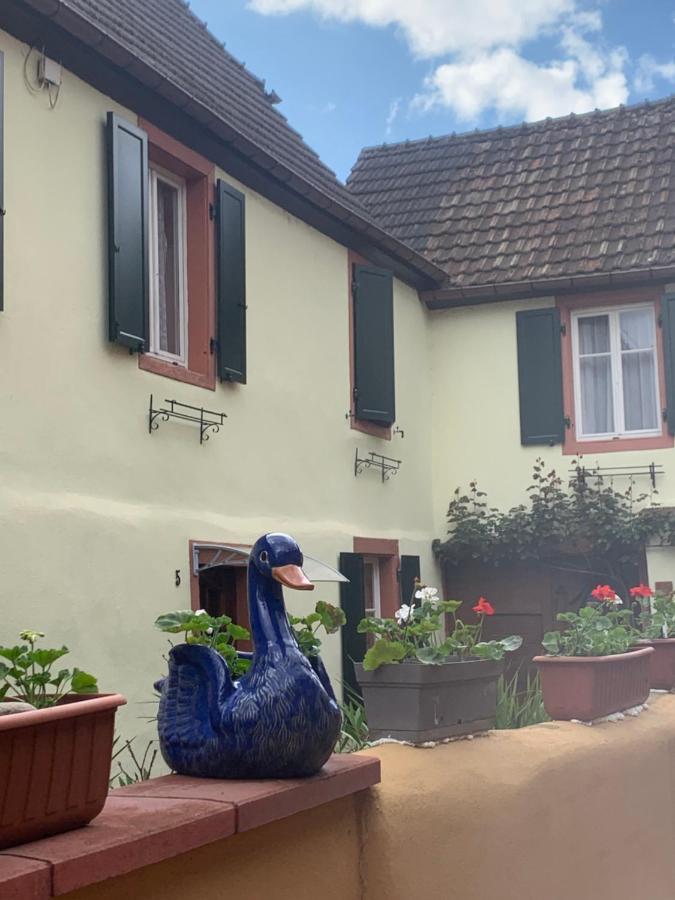 Coeur D'Alsace Colmar Vignobles Ouest Avec Terrasses Villa Wintzenheim Eksteriør billede