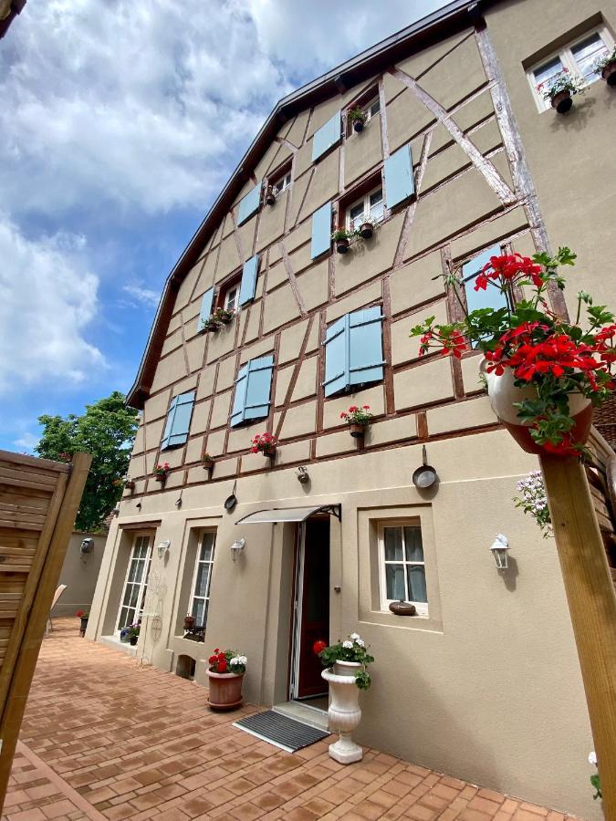 Coeur D'Alsace Colmar Vignobles Ouest Avec Terrasses Villa Wintzenheim Eksteriør billede