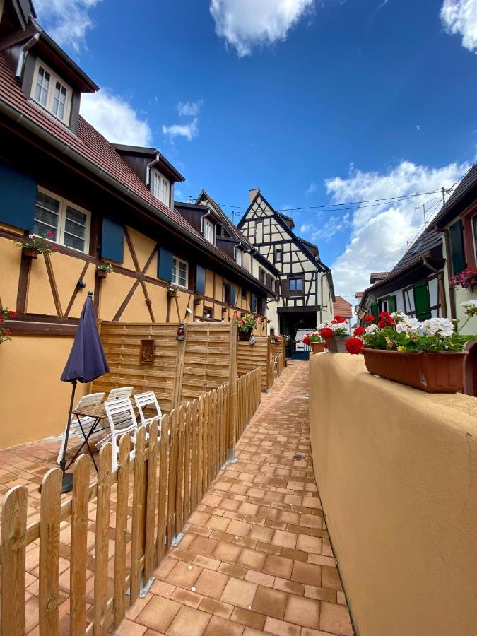 Coeur D'Alsace Colmar Vignobles Ouest Avec Terrasses Villa Wintzenheim Eksteriør billede