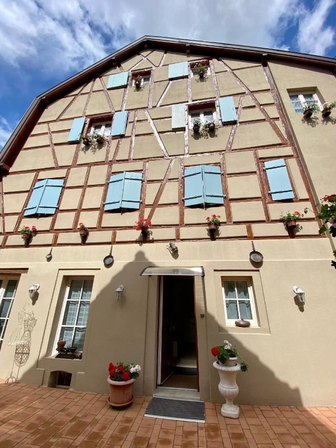 Coeur D'Alsace Colmar Vignobles Ouest Avec Terrasses Villa Wintzenheim Eksteriør billede