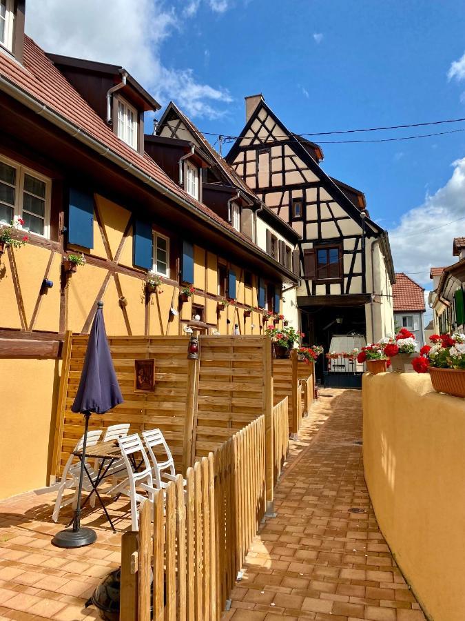 Coeur D'Alsace Colmar Vignobles Ouest Avec Terrasses Villa Wintzenheim Eksteriør billede