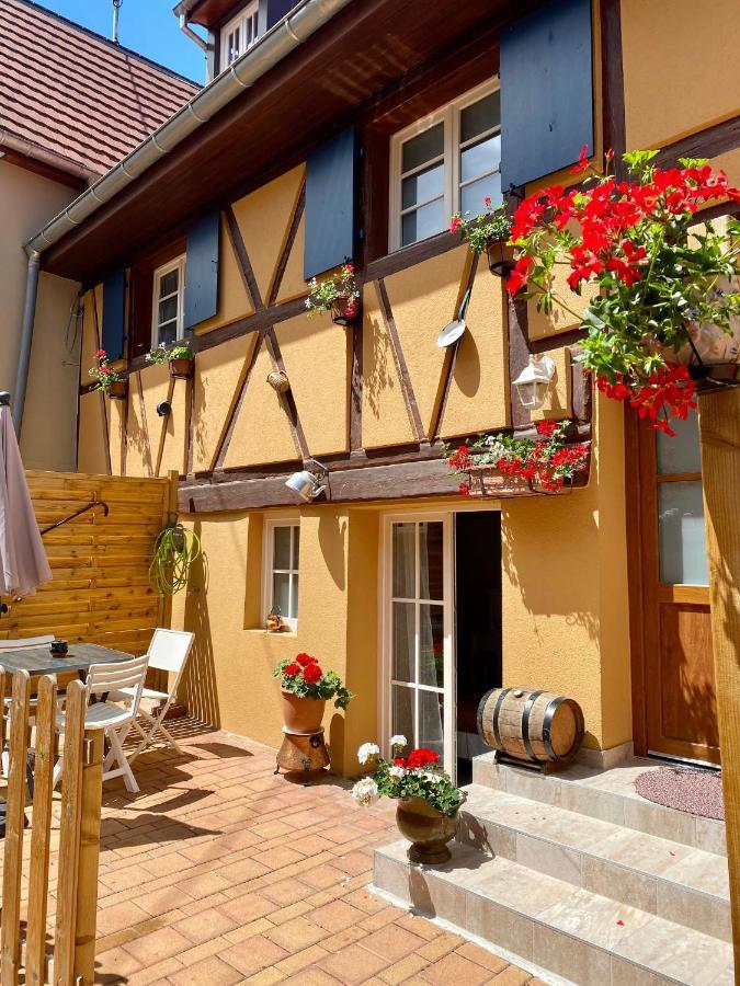 Coeur D'Alsace Colmar Vignobles Ouest Avec Terrasses Villa Wintzenheim Eksteriør billede