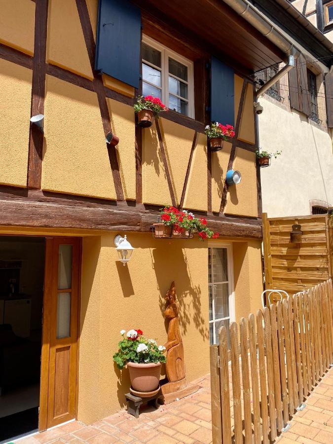 Coeur D'Alsace Colmar Vignobles Ouest Avec Terrasses Villa Wintzenheim Eksteriør billede