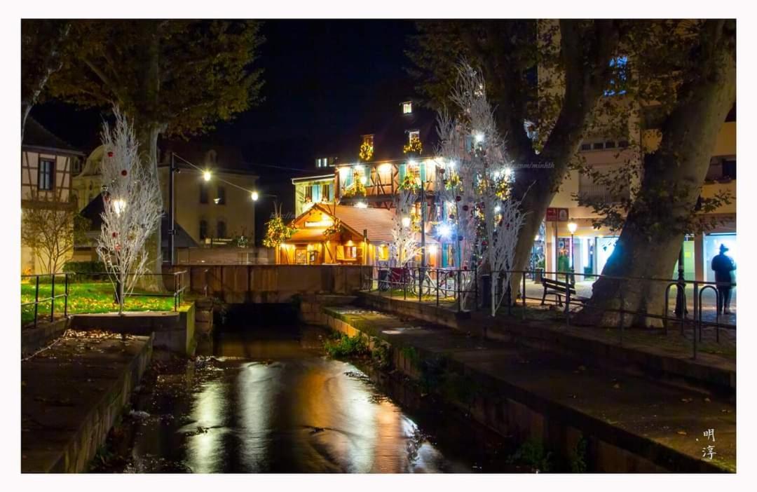 Coeur D'Alsace Colmar Vignobles Ouest Avec Terrasses Villa Wintzenheim Eksteriør billede