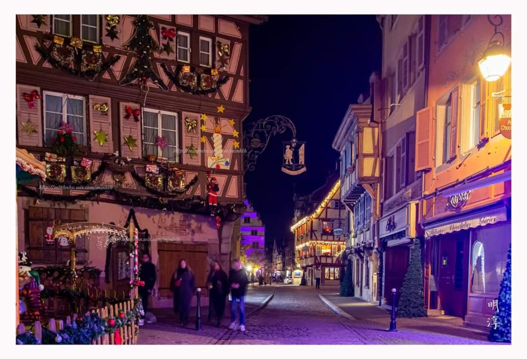 Coeur D'Alsace Colmar Vignobles Ouest Avec Terrasses Villa Wintzenheim Eksteriør billede