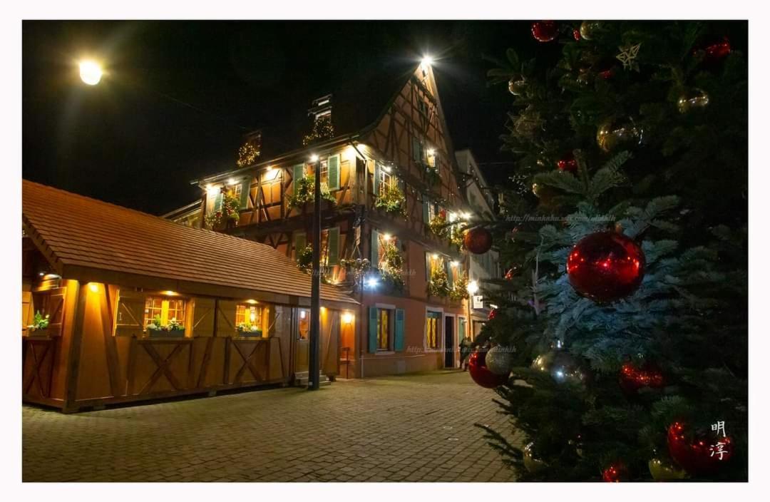 Coeur D'Alsace Colmar Vignobles Ouest Avec Terrasses Villa Wintzenheim Eksteriør billede
