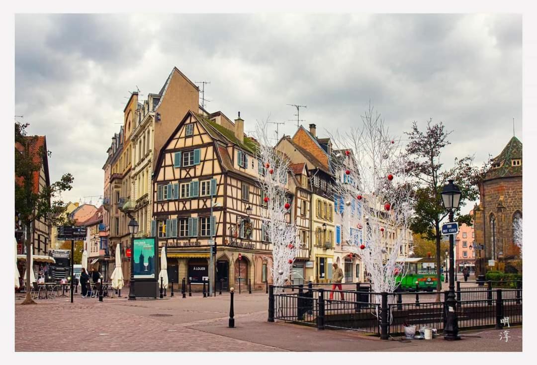 Coeur D'Alsace Colmar Vignobles Ouest Avec Terrasses Villa Wintzenheim Eksteriør billede