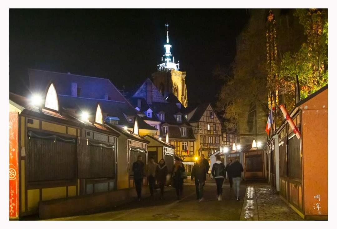 Coeur D'Alsace Colmar Vignobles Ouest Avec Terrasses Villa Wintzenheim Eksteriør billede